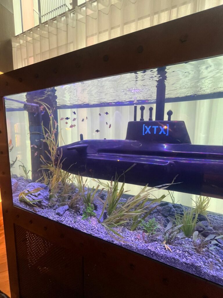 xtx 23